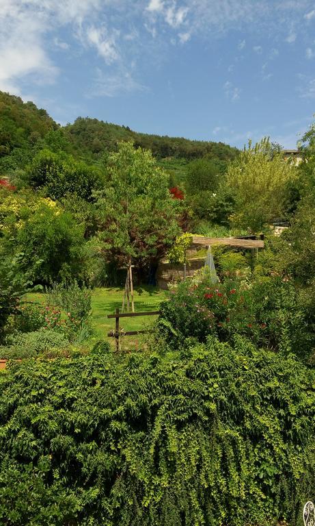 B&B Casa Brunelli Тренто Екстериор снимка